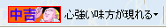 29omi2.gif