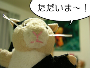 kikan.jpg
