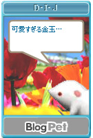 kin.jpg