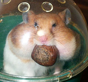 moti-egao.jpg