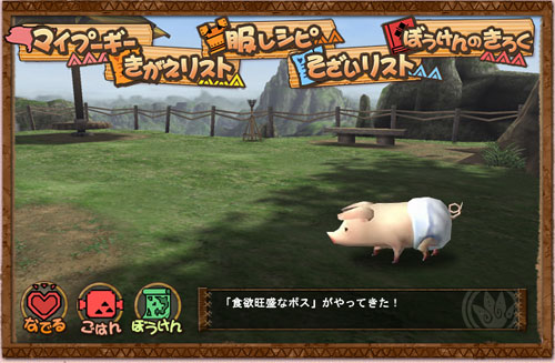 pig2.jpg