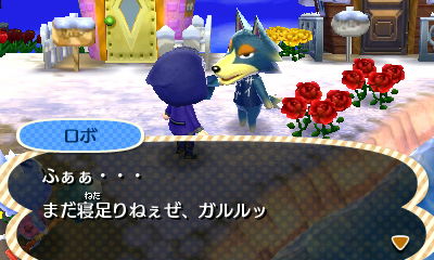 mori306.JPG